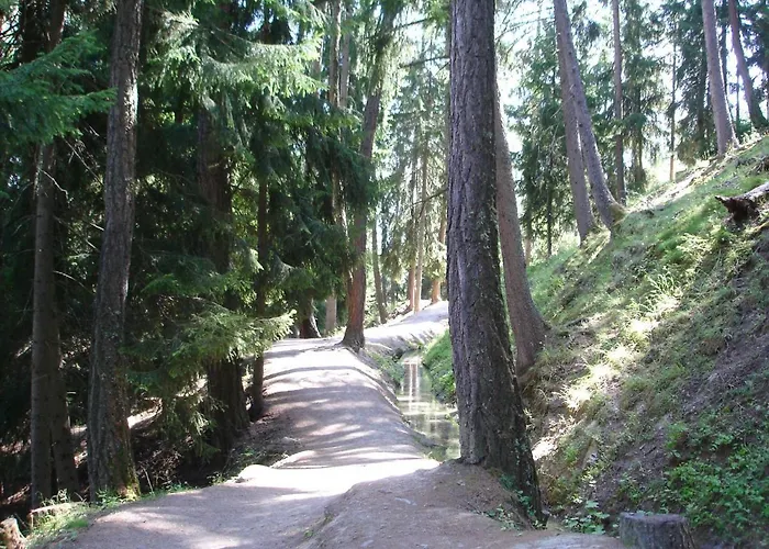 Appartamento Royal 141 Lift&terrace 8 Pers By Alpvision Résidences