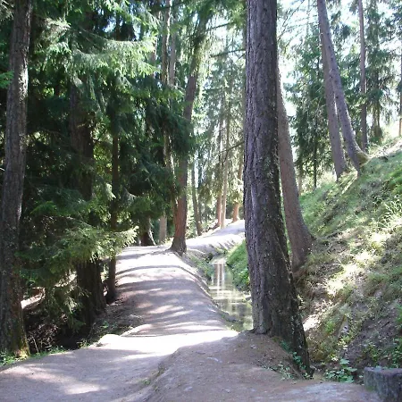 Appartement Royal 141 Lift&terrace 8 Pers By Alpvision Résidences